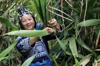 Fabrication zongzi